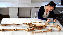 Analysis of medieval skeleton
